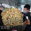 政府总理指示为北江省农产品销售营造最便利条件