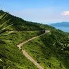 外媒推荐越南7条绝美打卡道路