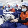 欧亚经济联盟将越南从统一特惠关税名单中剔除：企业要进行变革以适应这一变化