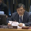 越南与联合国安理会：越南主持召开联合国安理会国际法院非正式工作组会议 承诺促进对话进程
