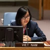越南与联合国安理会：越南敦促有关各方进行对话 解决有关Safer号油轮的分歧