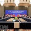 越南出席东盟—中国特别外长会