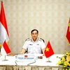 越南和印度尼西亚海军努力提高协同能力
