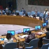 越南与联合国安理会：越南呼吁加强对苏丹平民的保护