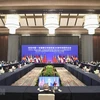 纪念东盟—中国建立对话关系30周年特别外长会共同主席声明 （全文）
