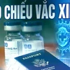 坚江省富国岛将成为越南第一个地方启用“新冠疫苗护照”