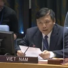 越南与联合国安理会：越南主持召开联合国安理会南苏丹问题委员会会议