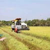 澳大利亚驻越南副总领事丽贝卡·鲍尔：越南有望成为澳大利亚第五大农产品出口市场