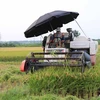 外媒：越南提高农业机械化水平