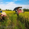 世行愿意协助越南农业的新项目