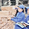 越南木制企业在韩国市场的潜力巨大
