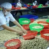 今年上半年越南腰果出口额达16.4亿美元