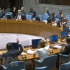 联合国安理会通过决议延长联合国也门荷台达协议支助团的行动 越南呼吁有关各方停止敌对行为