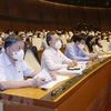 越南第十五届国会第一次会议：在立法工作中勇于创新和主动作为