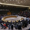 越南与联合国安理会：越南对塞浦路斯的政治紧张局势表示担忧