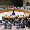 越南与联合国安理会：越南呼吁采取紧急行动防止黎巴嫩崩溃