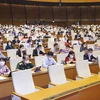 越南第十五届国会第一次会议：讨论后几个月和2021~2025年社会经济发展问题