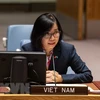 越南与联合国安理会：越南高度评价联非达团所作出的贡献