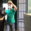 终结黑熊杂技表演 共建野生动物美好未来