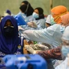德尔塔变种毒株占泰国新冠肺炎确诊病例的78.2% 马来西亚单日确诊病例突破2万例