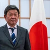 日本承诺全力支持东盟缅甸问题特使相关活动 