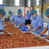 2021年前7个月越南农业实现贸易顺差约39亿美元