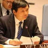 越南与联合国安理会：越南驻联合国大使肯定新技术在维和领域中的作用
