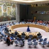 越南与联合国安理会：越南呼吁加强国际合作 应对恐怖主义危机