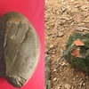 安沛省发现旧石器时代晚期文物