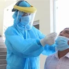 响应越共中央总书记的号召：海外越南人向胡志明市赠送医用口罩
