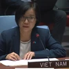 越南与联合国安理会：越南提议联合国和国际社会助力埃塞俄比亚战胜政治危机