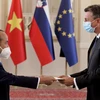 越南—斯洛文尼亚：推进合作 携手解决共同关心的问题