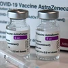  德国政府决定为越南防疫工作提供250万剂阿斯利康疫苗援助