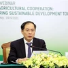 越南与非洲农业合作：加强沟通对接 共促可持续发展