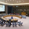 越南与联合国安理会：越南强调利比亚按时举行选举的重要性