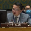 越南与联合国安理会：越南呼吁为苏丹获得国际金融资源提供便利