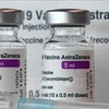 越南接受由德国通过COVAX机制援助的85.2万剂新冠疫苗