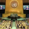 越南加入联合国 44 周年：致力于和平与可持续发展的强有力伙伴