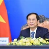 越南外长裴青山访俄证明加强两国全面战略伙伴关系是越南的优先事项