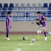 2022年世界杯预选赛：越南力争进球获得积分