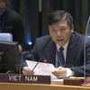 越南与联合国安理会：越南主持安理会南苏丹问题委员会会议