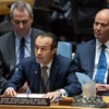 越南与联合国安理会：越南鼓励黎巴嫩新政府以改革渡过当前危机