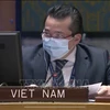 越南支持国际法院中各国际法律程序