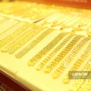 11月2日上午越南国内黄金价格超过5830万越盾 