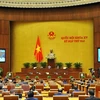 越南第十五届国会第二次会议：集中讨论经济社会问题