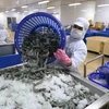 虾类产品加工和出口逐渐恢复 把握年底出口机遇