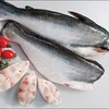 越南查鱼占美国鲶鱼进口总量的93%