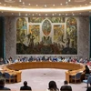 越南与联合国安理会：越南呼吁解决引起不平等的根源