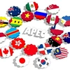 越南副外长邓黄江：越南期待APEC继续彰显其作为经济合作和联系重要论坛的作用