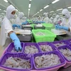  虾类产品加工业努力实现今年所提出的各项既定目标